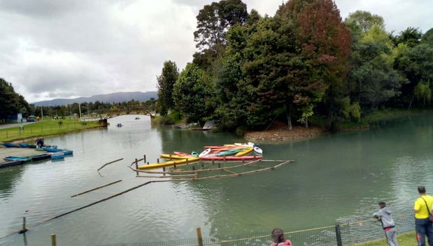 Tour por el Parque Simón Bolívar y la Biblioteca Virgilio Barco - Foto 3