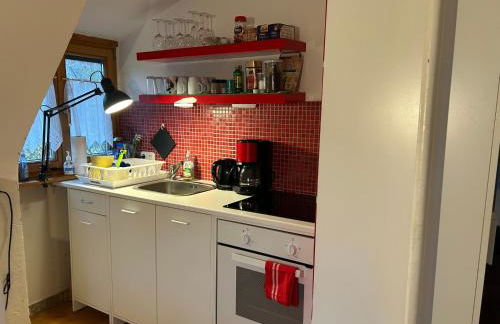 Ferien- und Messeappartement Schwaig - Foto 6