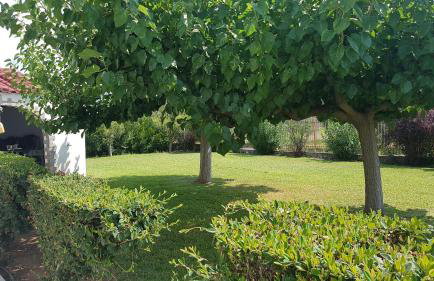 Silver Villa Raches, Sky - Foto 16