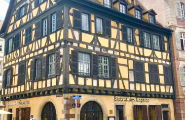 Cosy apartment on Strasbourg tramway line - Foto 24