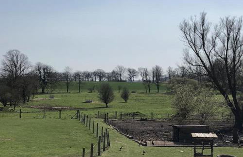 Ferien auf dem Bauernhof Nr. 101 - Foto 12