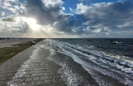 Plüschmors - Photo 22