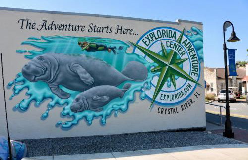 Charming 1940s Daybook Cottage on the Florida Hidden Coast - Foto 45