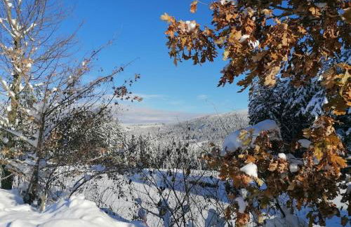 Ferienwohnung für Familien im Bayrischen Wald - Foto 30