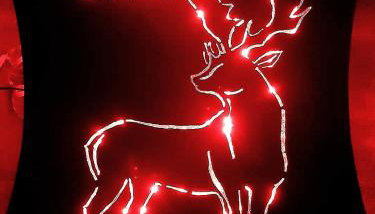 Chalet Vacanze Il Daino - Foto 2