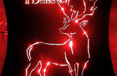 Chalet Vacanze Il Daino - Foto 2