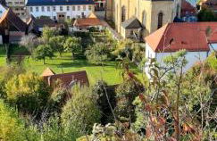 Ferienhaus Sylvia beim Waldrand - Foto 27