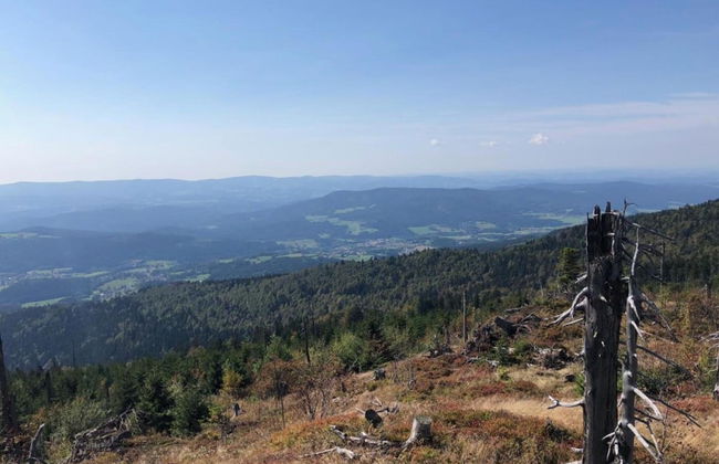 Ferienwohnung im Bayerischen Wald mit Balkon - Photo 24
