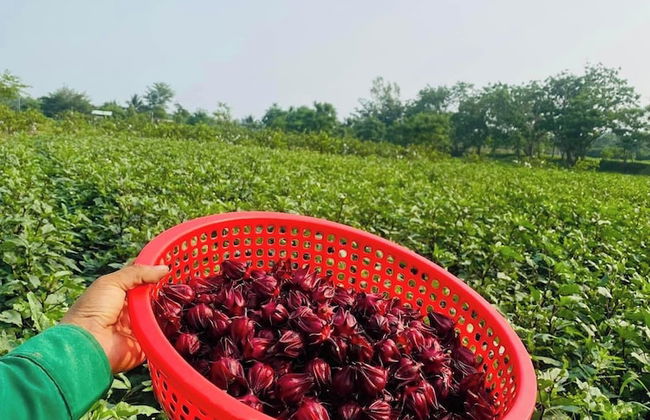 Thanh Chiem Village - Foto 11