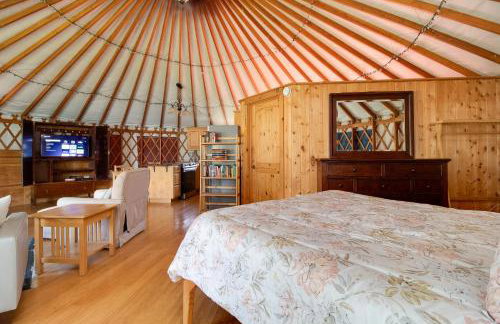 Jumping Juniper Ranch Yurt - Photo 14