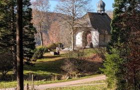 FeWo im Grünen - Foto 14