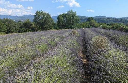 Studio indépendant vue magnifique et au calme - Foto 9