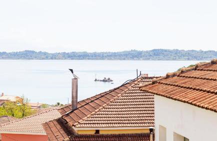 Lovely Traditional House - Foto 20