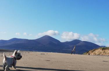 Forest Path luxury Studio Apartment with large bedroom bathroom and sauna Sleeps up to 4 - Photo 35