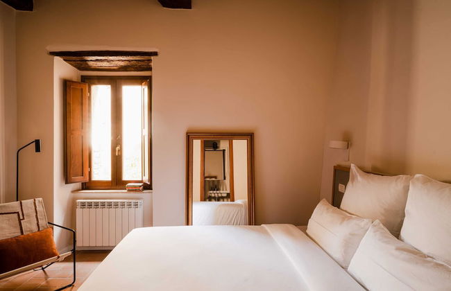 Aethos Saragano - Foto 16