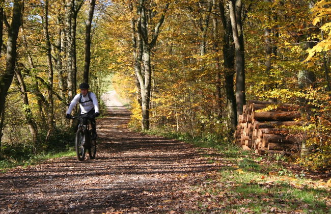 KraftQuelle - Foto 9