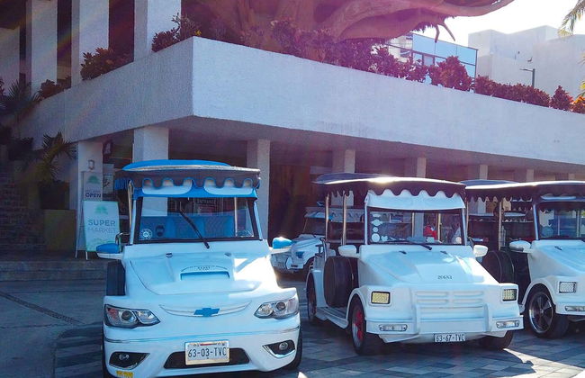 Private Pulmonia Tour of Mazatlán - Foto 8