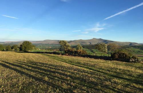 Llwyn Llwyd Cottage - Photo 12