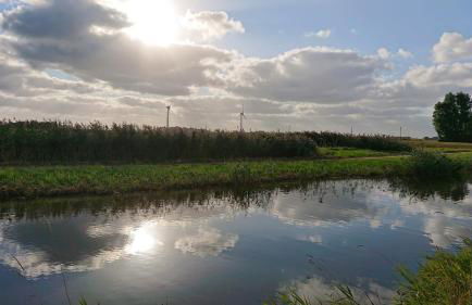 Habbo's Kojen - Photo 6