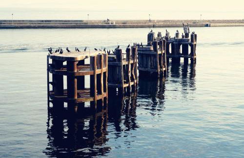 Fürstenhof Fewo Beagle - Foto 22