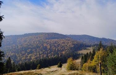 BliżejGorców - Foto 34