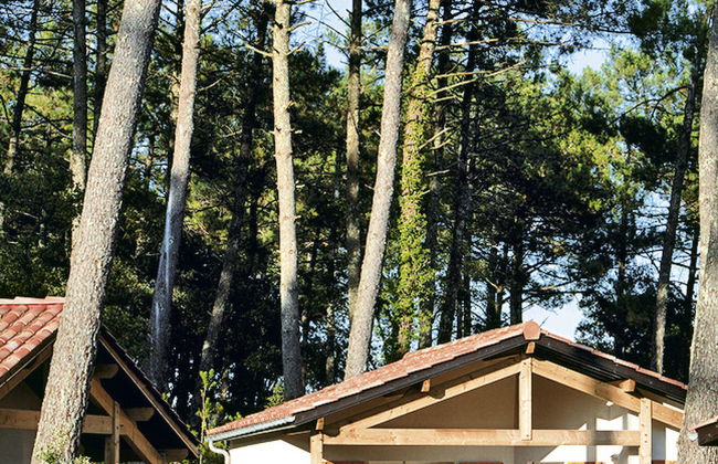 L'Allée des Dunes - Foto 17