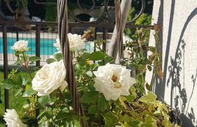 Magnifique villa de charme avec piscine - Foto 55