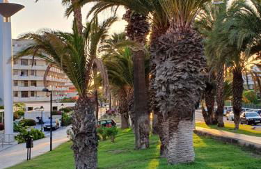 Spectacular Renovated Apartment, 5 min to Camison Beach, with AirCon - Photo 52