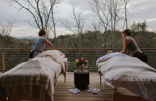 Heated Hydro Pool -Spa - Plunge - Luxe AVL Retreat - Foto 24