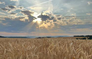 FeWo Krämer - Foto 20