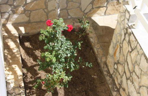 Apartman LAURA 1 - Photo 14