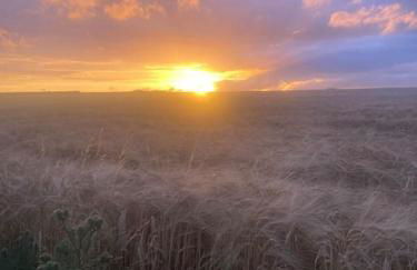 Beautiful Rural Holiday Chalet - Foto 43