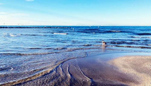 Villa climatisée, proche mer, 2 grands appartements indépendants, parking, wifi - Foto 3