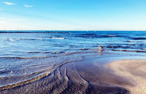 Villa climatisée, proche mer, 2 grands appartements indépendants, parking, wifi - Foto 3