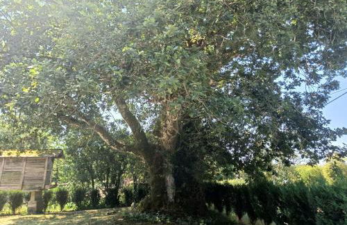 Casa verde de Lobán - Foto 20