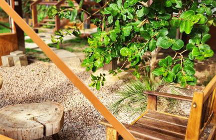 Espaço Canela-de-Ema - Foto 27