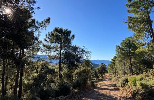 Pilar de la Sima casa rural Arguellite Yeste - Foto 38