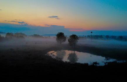 FeWo Büdingen - Landhaus - Foto 11