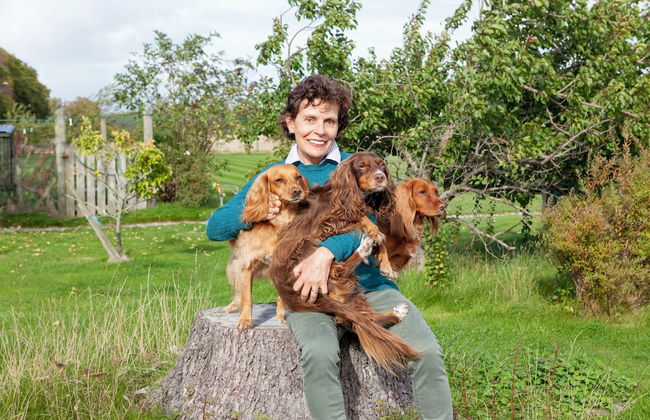 Netherton Farm Lodge - Foto 56