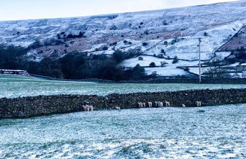 Hobsons Cottage - Foto 29