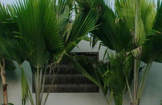 Breezy Sport House Chalé Ravenala - Photo 11