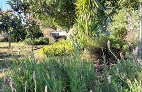 Rota do Viajante - Foto 30