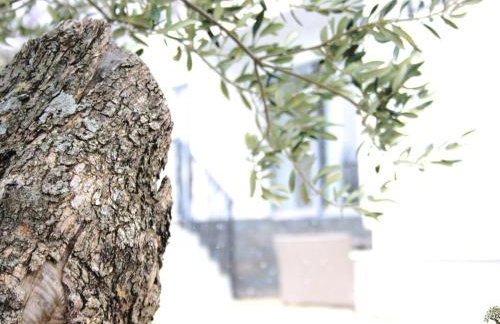 Holiday Home La Finca OliveTree by Interhome - Foto 38