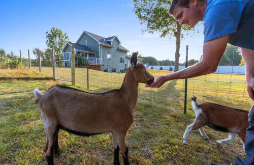 The Goat House Waterfront Hottub Stargazing - Foto 11