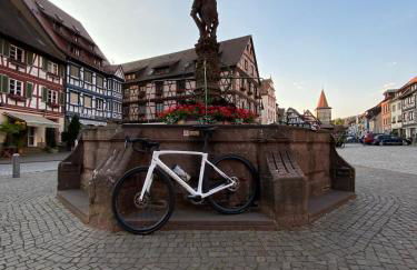 Graceland In the Black Forest - Foto 100