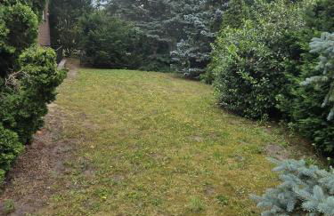 FeWo AllerGrün, Terrasse, Garten, Stellplatz! - Foto 11