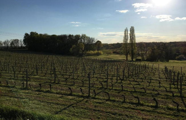 Family Retreat in Prats-du-perigord - Foto 41