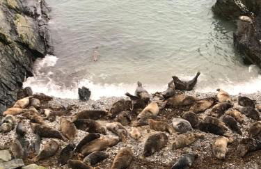 Mevagissey Boutique Flatlet with sea and countryside views - Foto 21