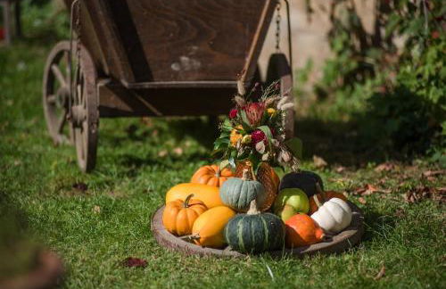 Ferienwohnung Kutscherstube - Foto 14