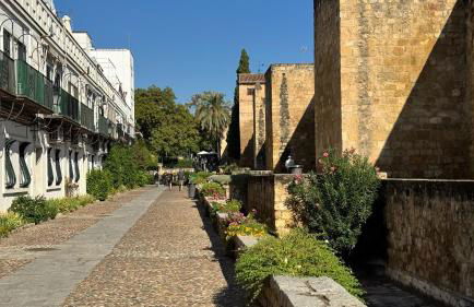 Apartamento Algafequi con terraza privada - Foto 27